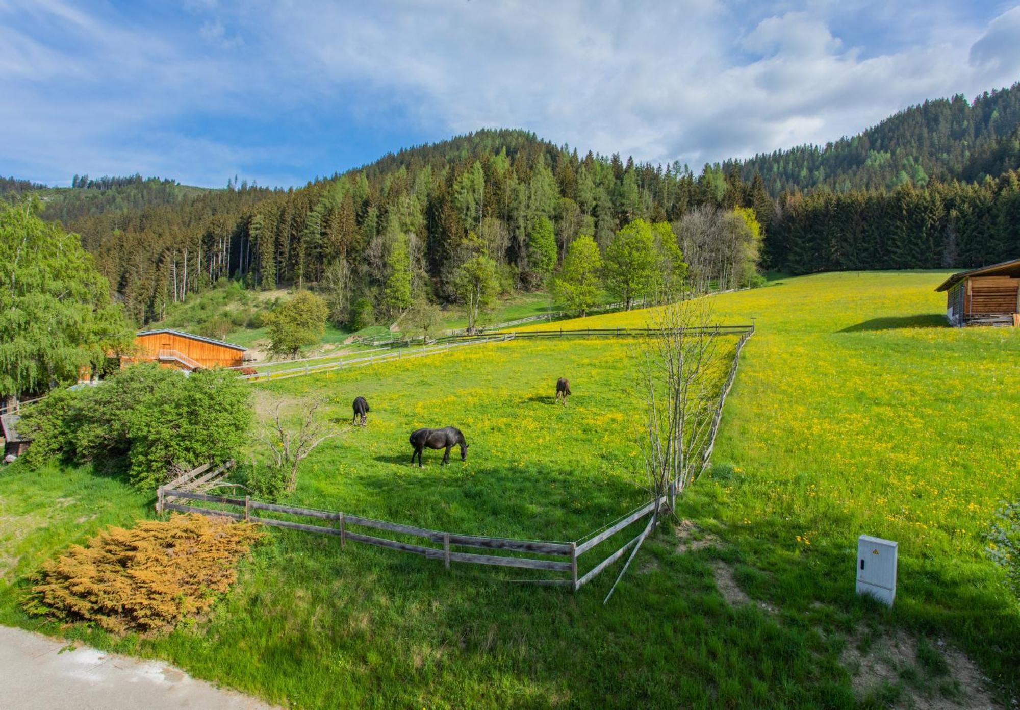 Huberhof 1 By Alpenidyll Apartments Schladming Exterior photo